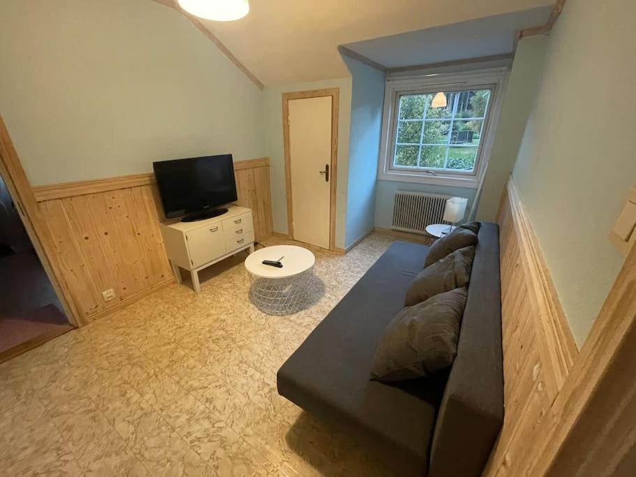 Large Cozy Villa Between Stockholm And Oslo Åmotfors Екстериор снимка