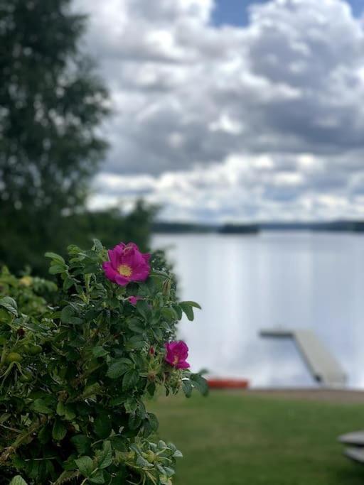 Large Cozy Villa Between Stockholm And Oslo Åmotfors Екстериор снимка